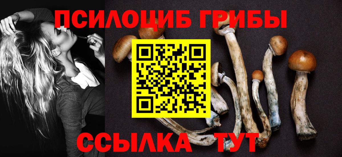 Галлюциногенные грибы Psilocybine cubensis Вышний Волочёк