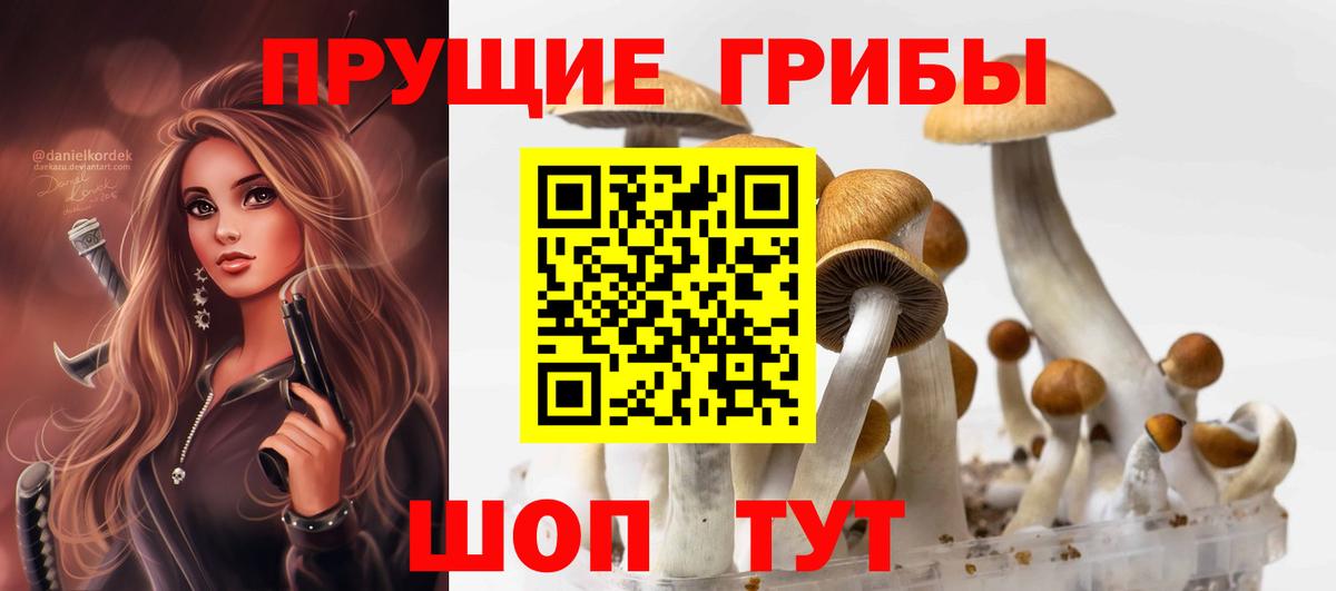 Галлюциногенные грибы Psilocybine cubensis  Галлюциногенные грибы мицелий  Вход с VPN  Вышний Волочёк 